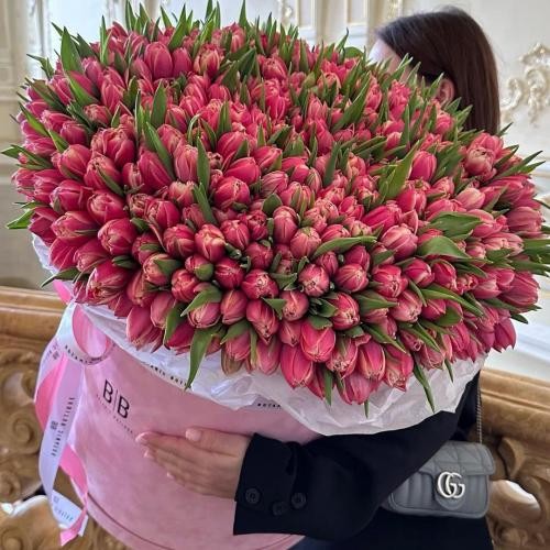 دانلود آهنگ بسه دیگه توام بگو دلت میشه تنگ  آرموند 