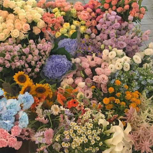 دانلود آهنگ کَفِ همت میکشم لایی لایی لایی لایی لایییی امیر و ابولی