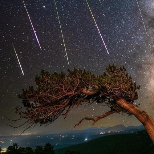 دانلود آهنگ مهندسا بهش میگن نقص فنی کلشو کلا و دستاش بسته بندی   لفظ باز