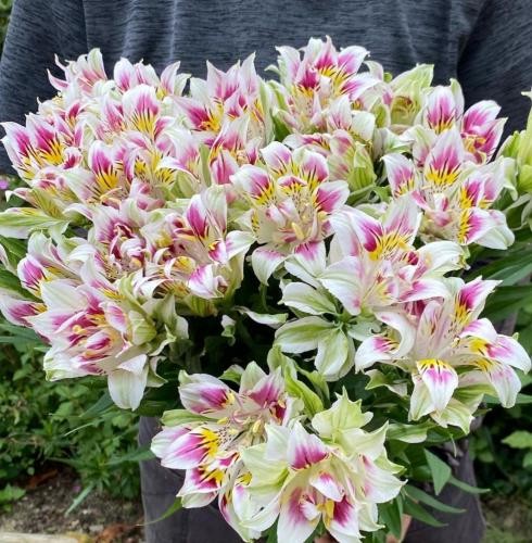 دانلود آهنگ صدامو میشنوی دستاتو میگیرم گاهی چیزی نمیگم کلاره