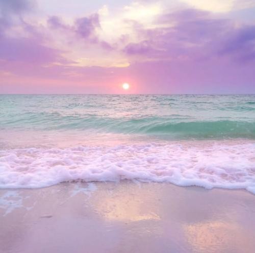 دانلود آهنگ امشب شب مهتابه حبیبم رو میخوام بلک کتس