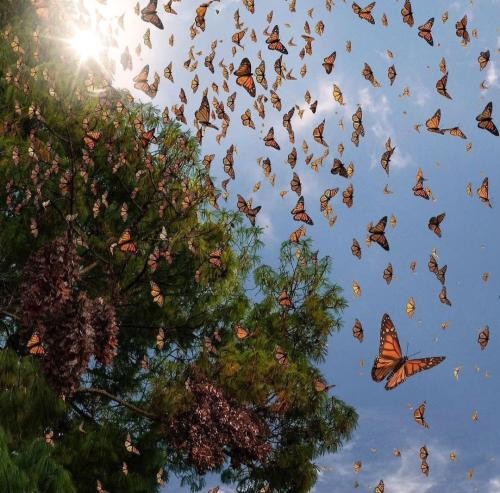 دانلود آهنگ تو باید بترسی ا من بترسی از قلمم که میرقصه از جنگ سزاوار 