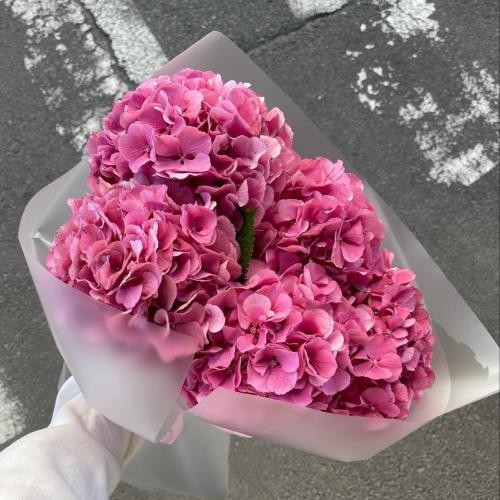 دانلود آهنگ شکرت خدایا شکرت شکرت خدایا شکرت رضا پیشرو و  امیر تتلو و تهی 