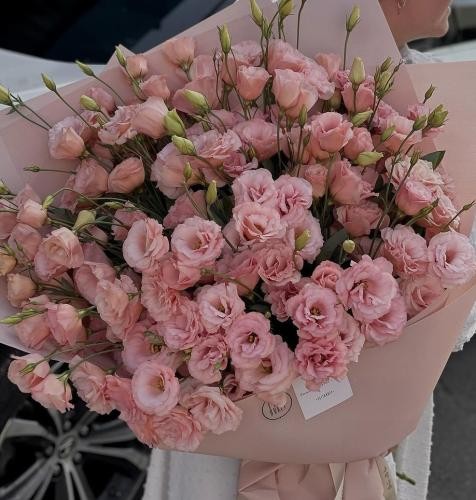 دانلود آهنگ محکم و استوار کوه قدرت و پشتِ کار اووو رضا پیشرو و اوج و قدر 