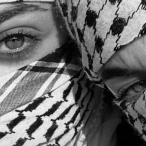 دانلود آهنگ سرنوشت کشورم تحت فشاره سقوط و جبر و انکار و خشم اسلامه رضا پیشرو 