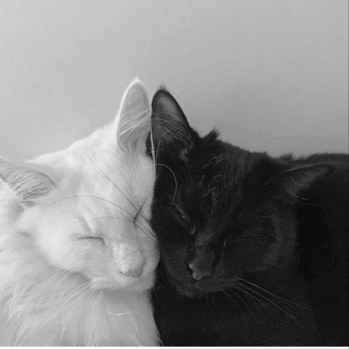 دانلود آهنگ کل نفسم درگیر تو راهم از اولش همین بود جیگاد و امو 