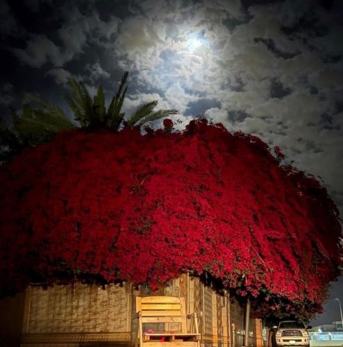 دانلود آهنگ بدون شات میلیونی ویو موزیکا هات بدون تیون دلو 