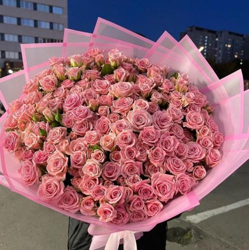 دانلود آهنگ میشه باخت میشه دوخت چشم روی پود اسب  پی وان 