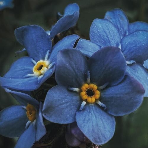 دانلود آهنگ من عوض نمیشم با این باربیا موندم  آرما و چرسی 