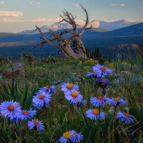 دانلود آهنگ کسی راه نمیره با کَت باز شهر ماس غلاف میشه پر شال  مرژاک 