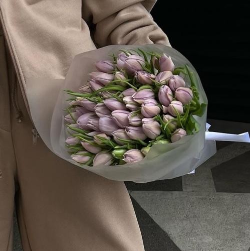 دانلود آهنگ همه بالان نیستی تو دید من کاملا بی حسم پول میگیرن مانسل