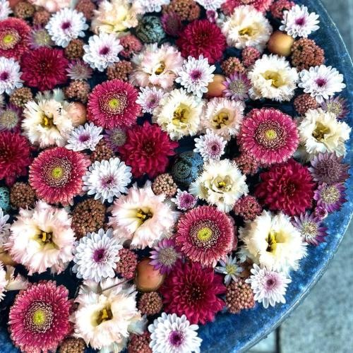 دانلود آهنگ میگن اون بیرون جنگه ما نشسته میزنیم پاپ کورن کنکاش