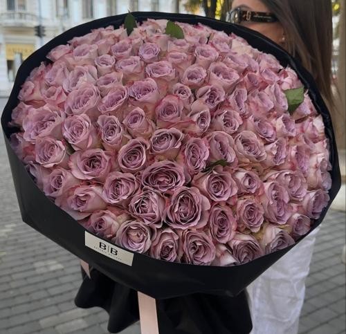 دانلود آهنگ اگه این حس پر کشید اگه نشد مثل هم بشیم د دان