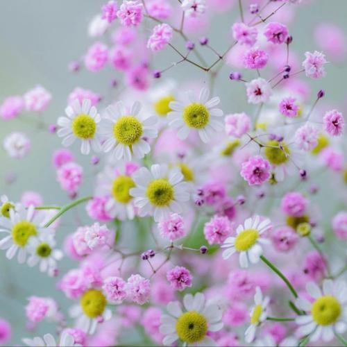 دانلود آهنگ تو بگو چرا اصلا دیدم تورو قبل تو آروم الان خل و چلو    ممزی