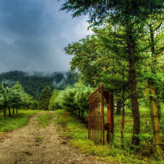 دانلود آهنگ never love again امینم