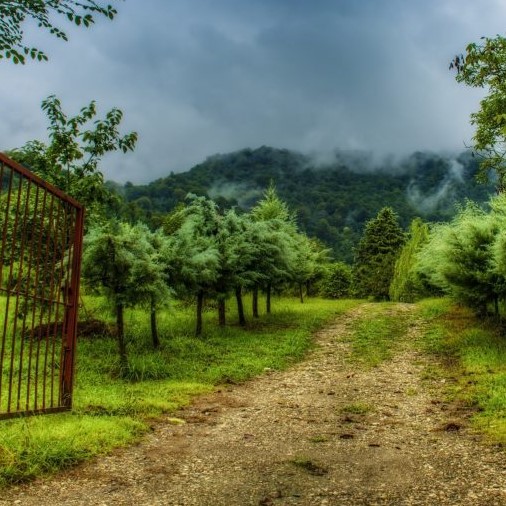 دانلود آهنگ وقتی همه کور بودن تو کردی بهم توجه امیر تتلو