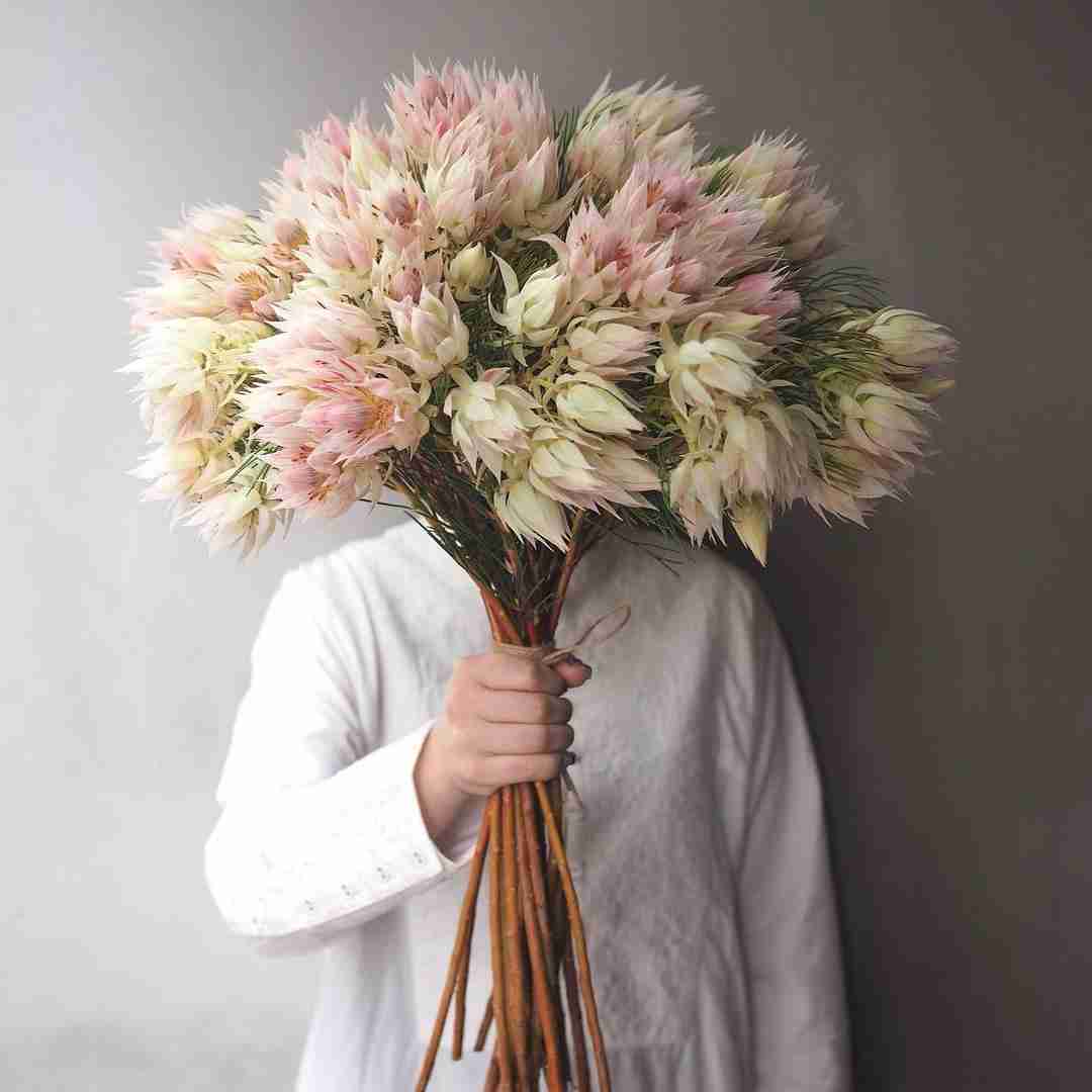 دانلود آهنگ تو بال پرواز من بودی تو بال پرواز من بودی دانیال مقدم و ام سی آر