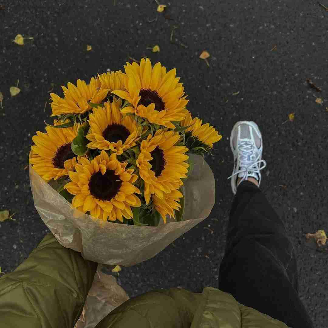 دانلود آهنگ همه‌ چیزم‌ یهو‌ پوچه میکنن شوبره انگار موئر