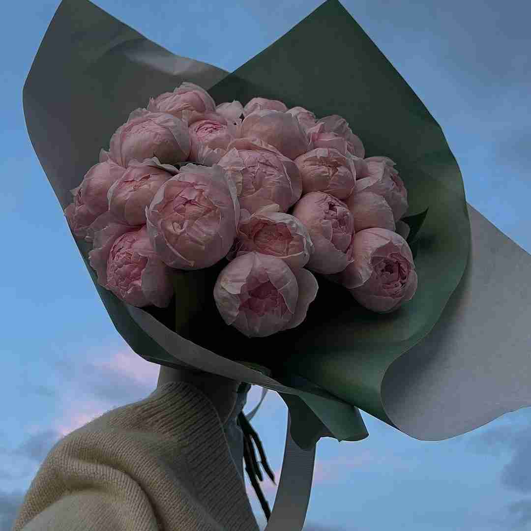 دانلود آهنگ اگه توی رنج جا نمیشن تو بنز جا نمیشن جیپو بکشیم بیرون 