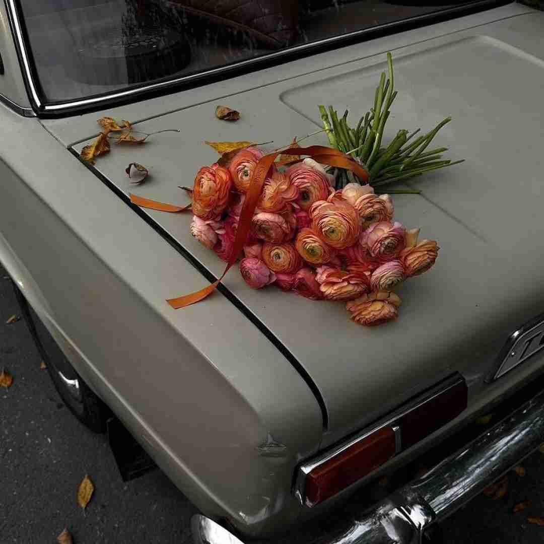 دانلود آهنگ کاش یکی بگه بلند شو همه شون بوده یه خواب  امیر خلوت 