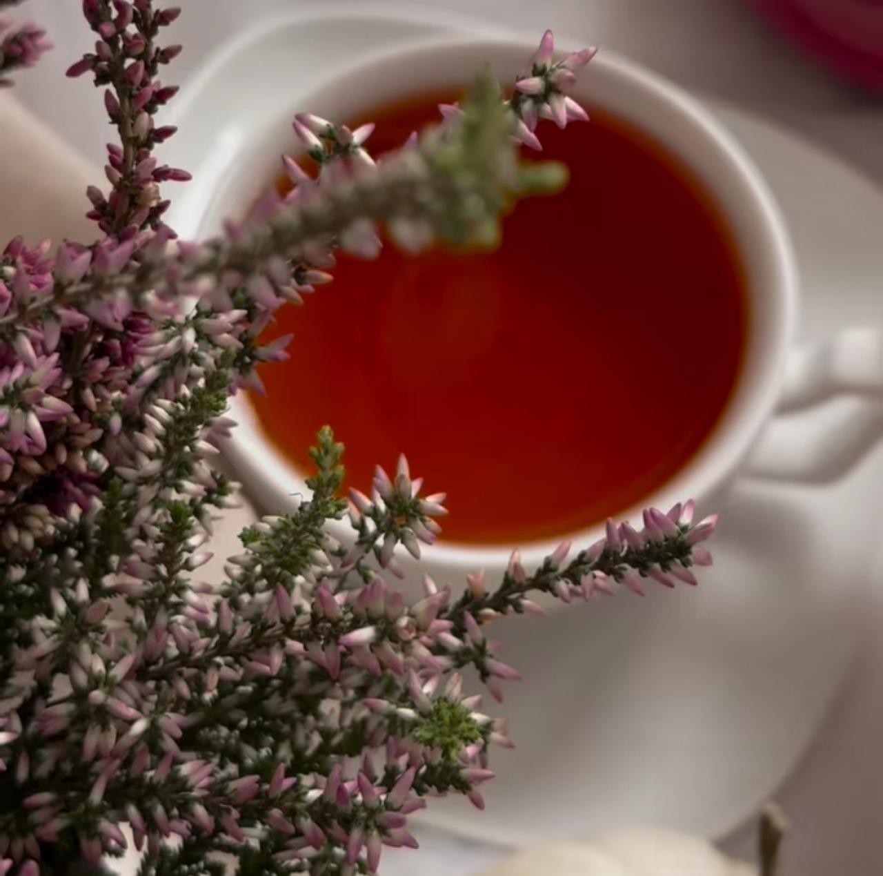 دانلود آهنگ دختری که از همه طرف رونده شده توی چشمای مظلومش حرف میباره ام آر ماسک