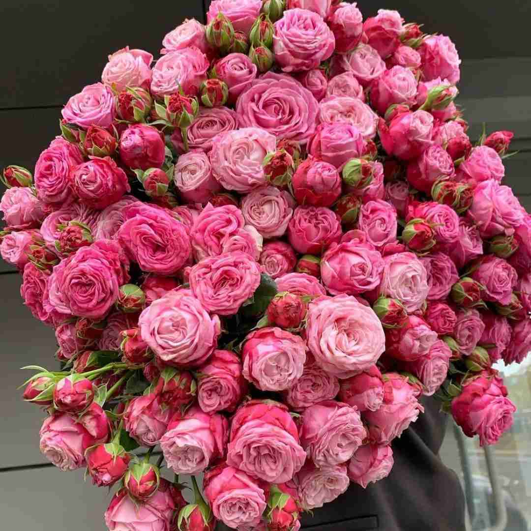 دانلود آهنگ لبام رو لبات یه ترانه شد واسه تو میمیرم هر بارشو بهزاد لیتو و سینجیم