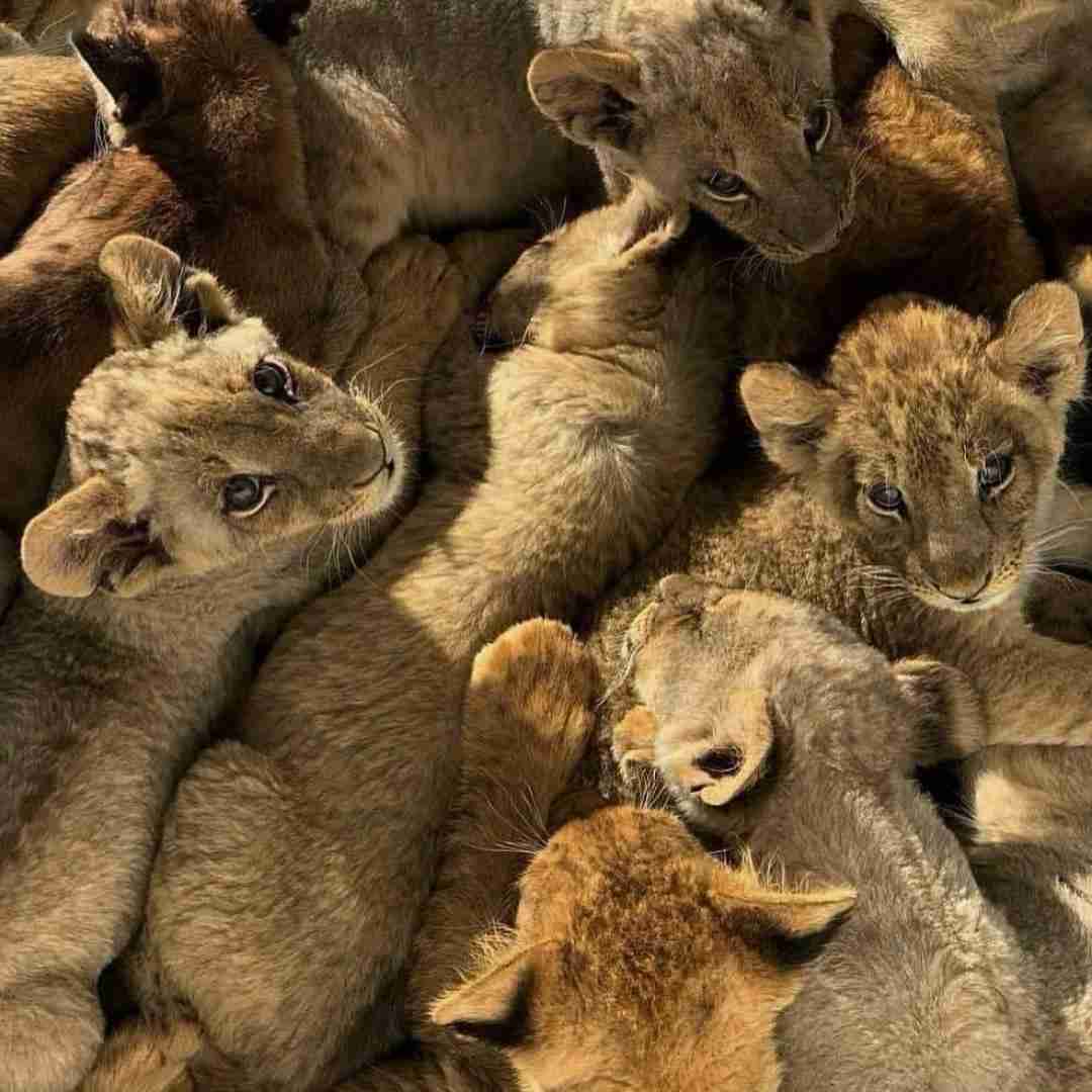 دانلود آهنگ تورو دیگه نمی‌خوام برو نمیشناسم اصلا تورو ماهان بهرام خان