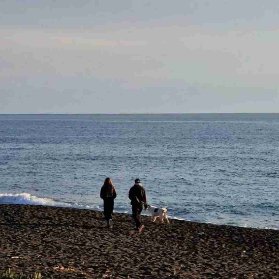 دانلود آهنگ تو دلمه یه جای خالی انگار که گند زده همه جوره به همه فکرام امیر خلوت 