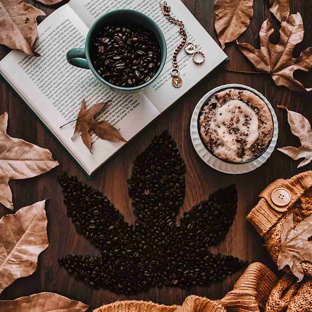 دانلود آهنگ وایمیستم لش تو روت یه رو میرم من از تو روت 