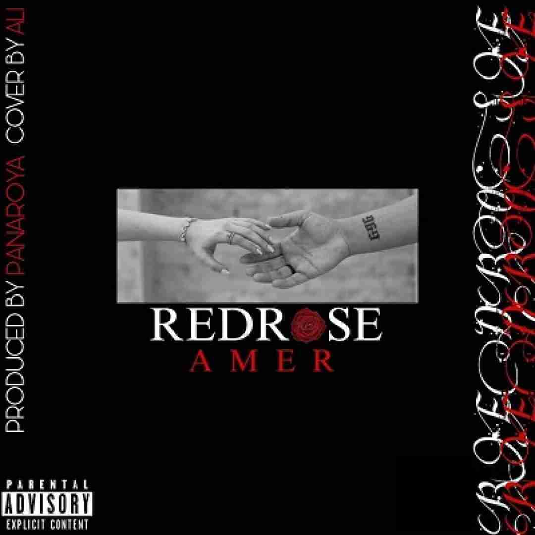 دانلود آهنگ رز قرمز عامر