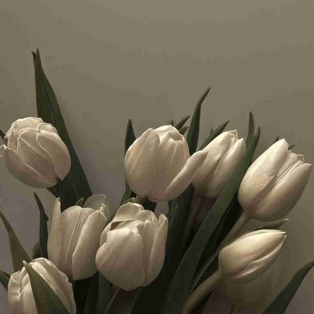 دانلود آهنگ بترس از اونکه با لبخند میجنگه بترس از اونکه با دستبند میرقصه موئر