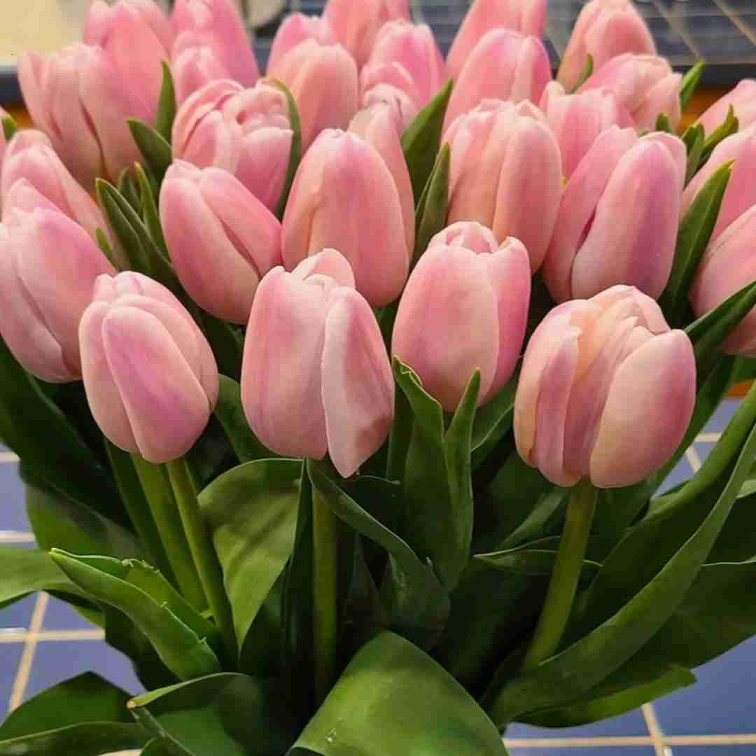 دانلود آهنگ یه بت ازت ساختم توی این قلبم دل من هواتو کرده