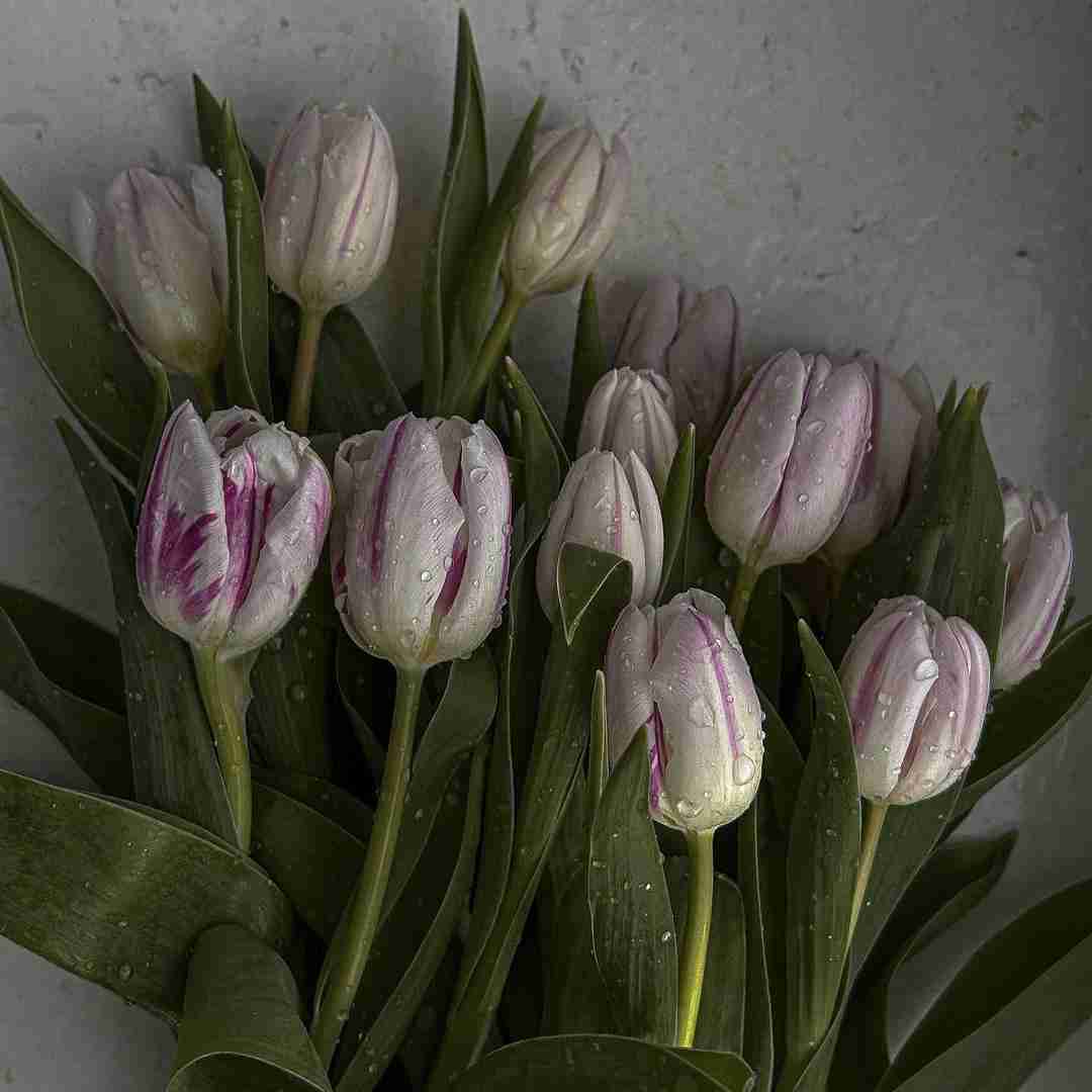 دانلود آهنگ با خیال نشستیم لب پنجره دستمو میگیره سردشه 