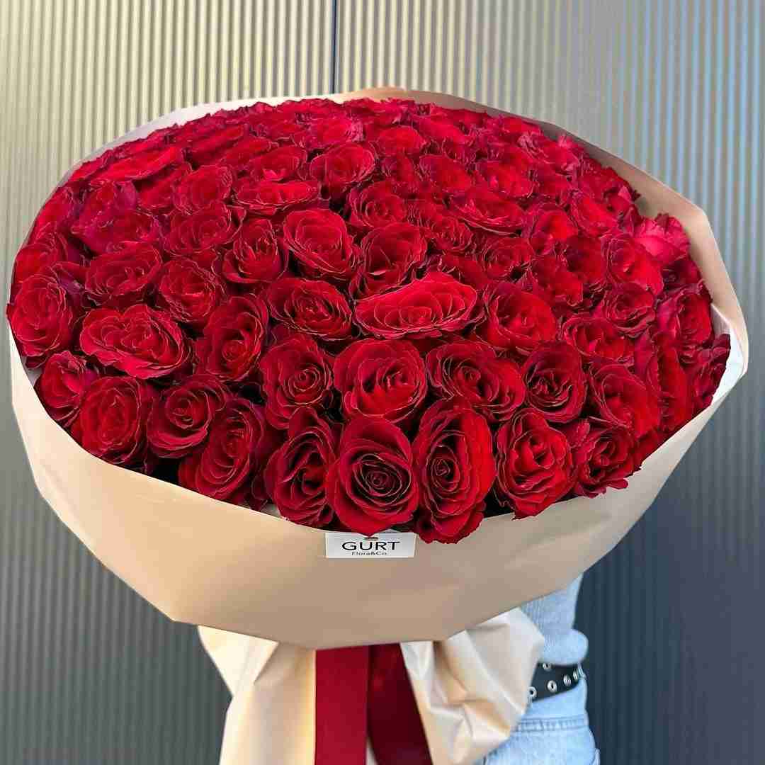 دانلود آهنگ حیوونا گم شین از دوروبرم نمیخوام ببینمتون بالاسرم حسن