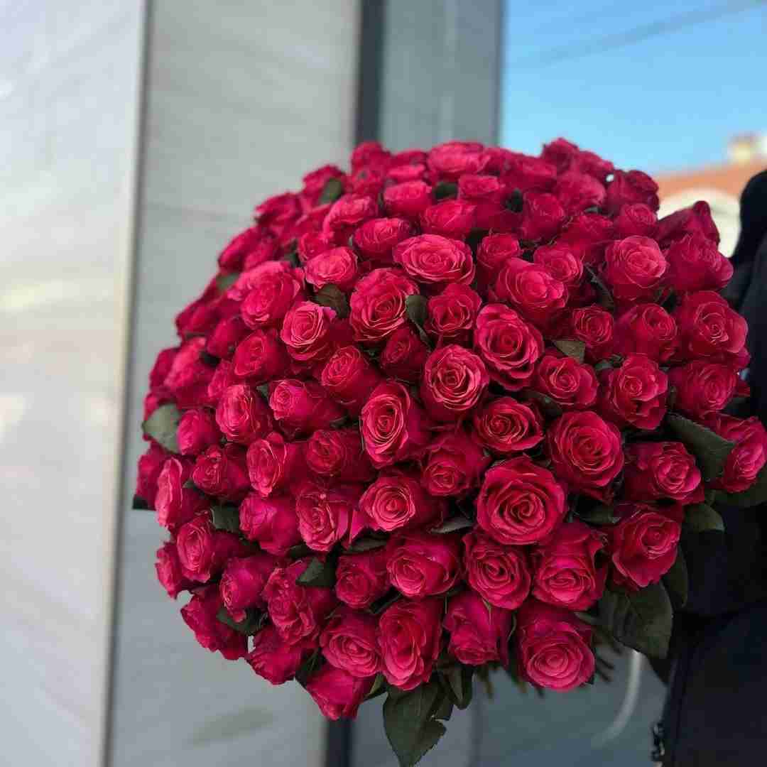 دانلود آهنگ میرم تو کافه دو تا صندلی خالیه یکی میگه ببین اینو پاشیده گروه مون رایز (مدولاین و دالام)