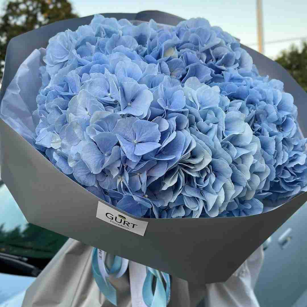 دانلود آهنگ داغون دارم میرم سمت کافه با این وضعم تا کافه خیلی راه گروه مون رایز (مدولاین و دالام)