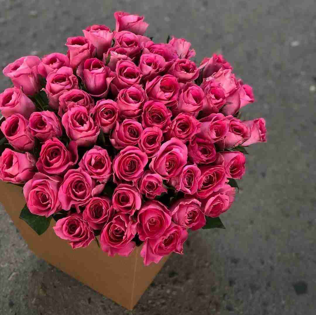 دانلود آهنگ تفنگ نصفتون اسباب بازیه ایسین