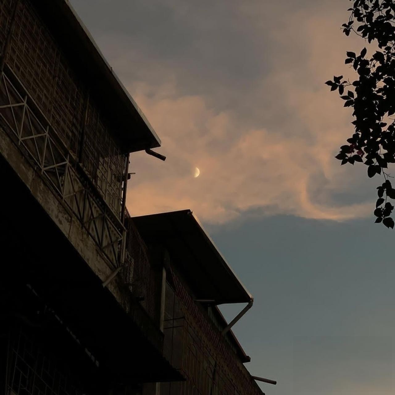 دانلود آهنگ اسم پاکت همیشه رو لبامه با بودنت دیگه هیچ غمی ندارم  مهدی راد