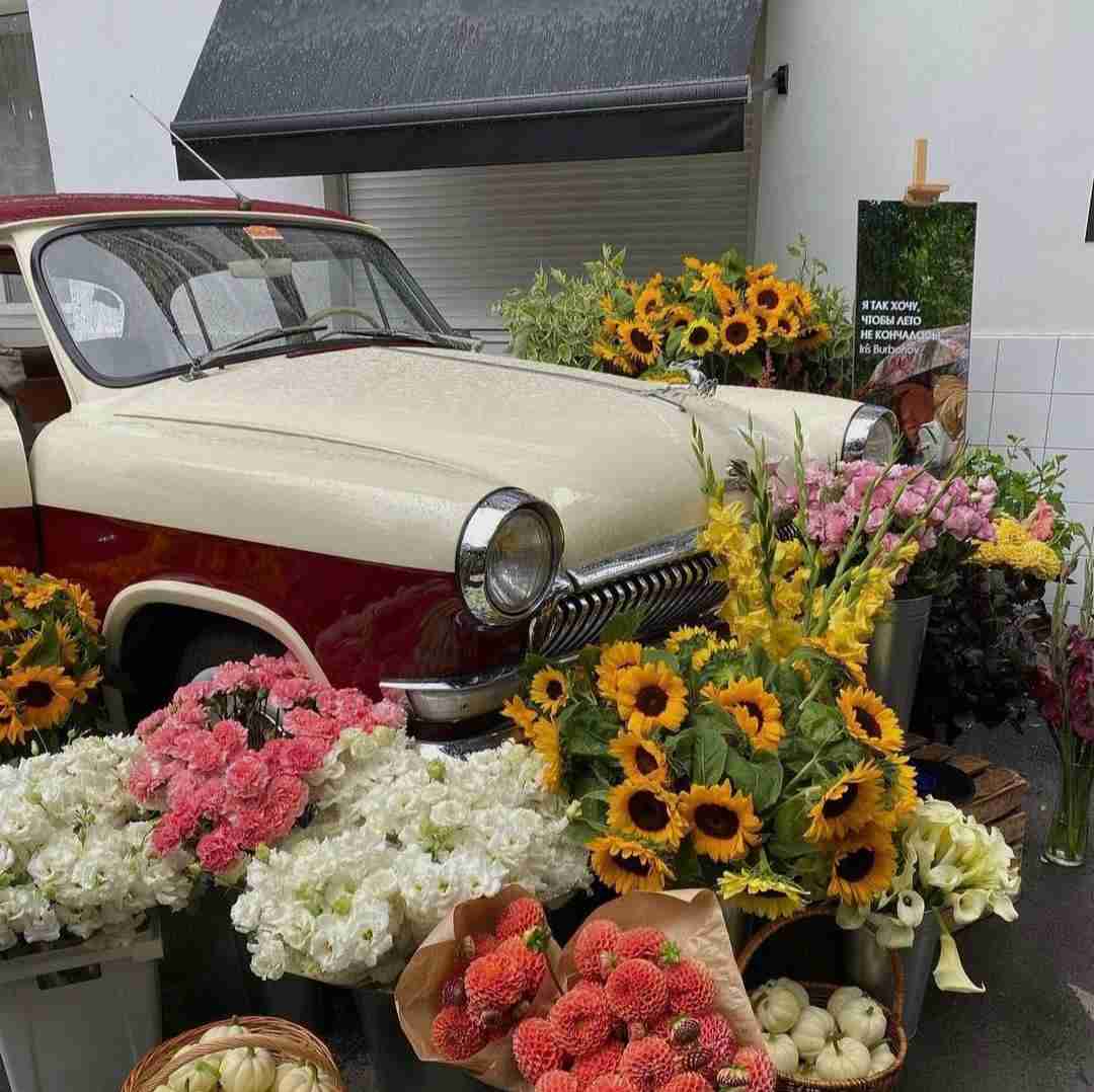 دانلود آهنگ قلبمو بهت زود دادمش این حاله رو دوست دارمش مانتونی 