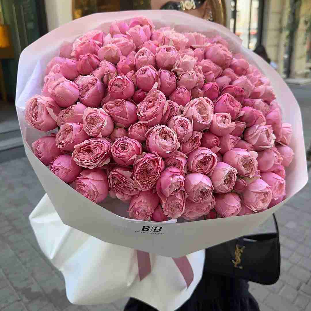 دانلود آهنگ هرچی بگی دیگه رد نمیکنم سر خیلی حرفا دیگه کل نمیکنم حسن