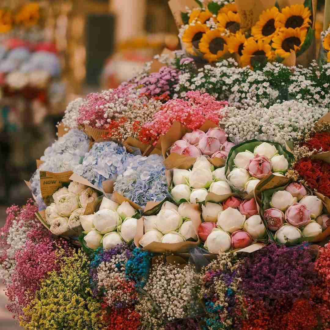 دانلود آهنگ هر جایی میری زنگ بزن من با تو فاصلم یه کم شایان اشراقی