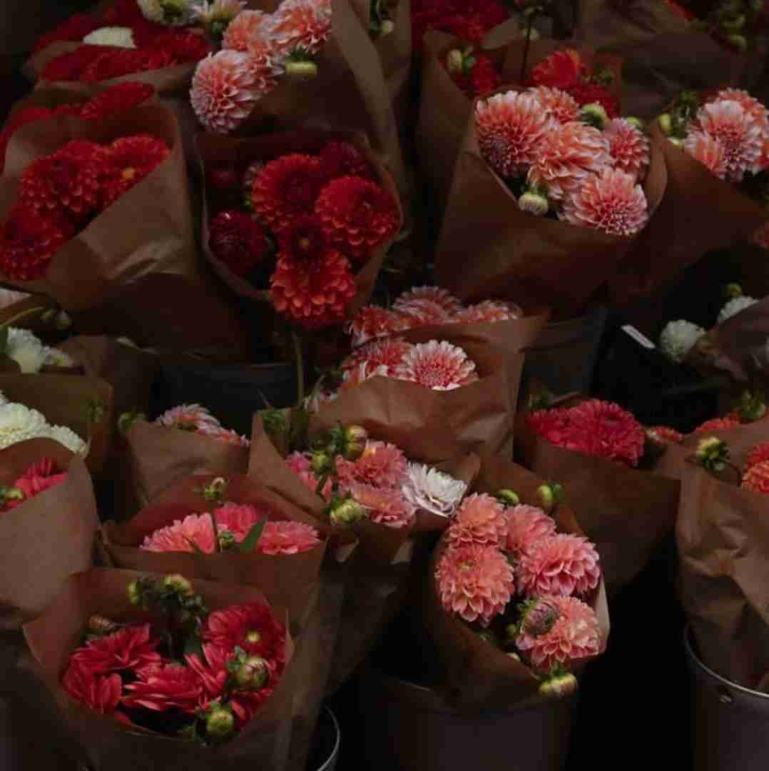 دانلود آهنگ من حاضرم با تو دلمو به دریا بزنم با تو بال بزنم بال بزنم بال بزنم مانتونی