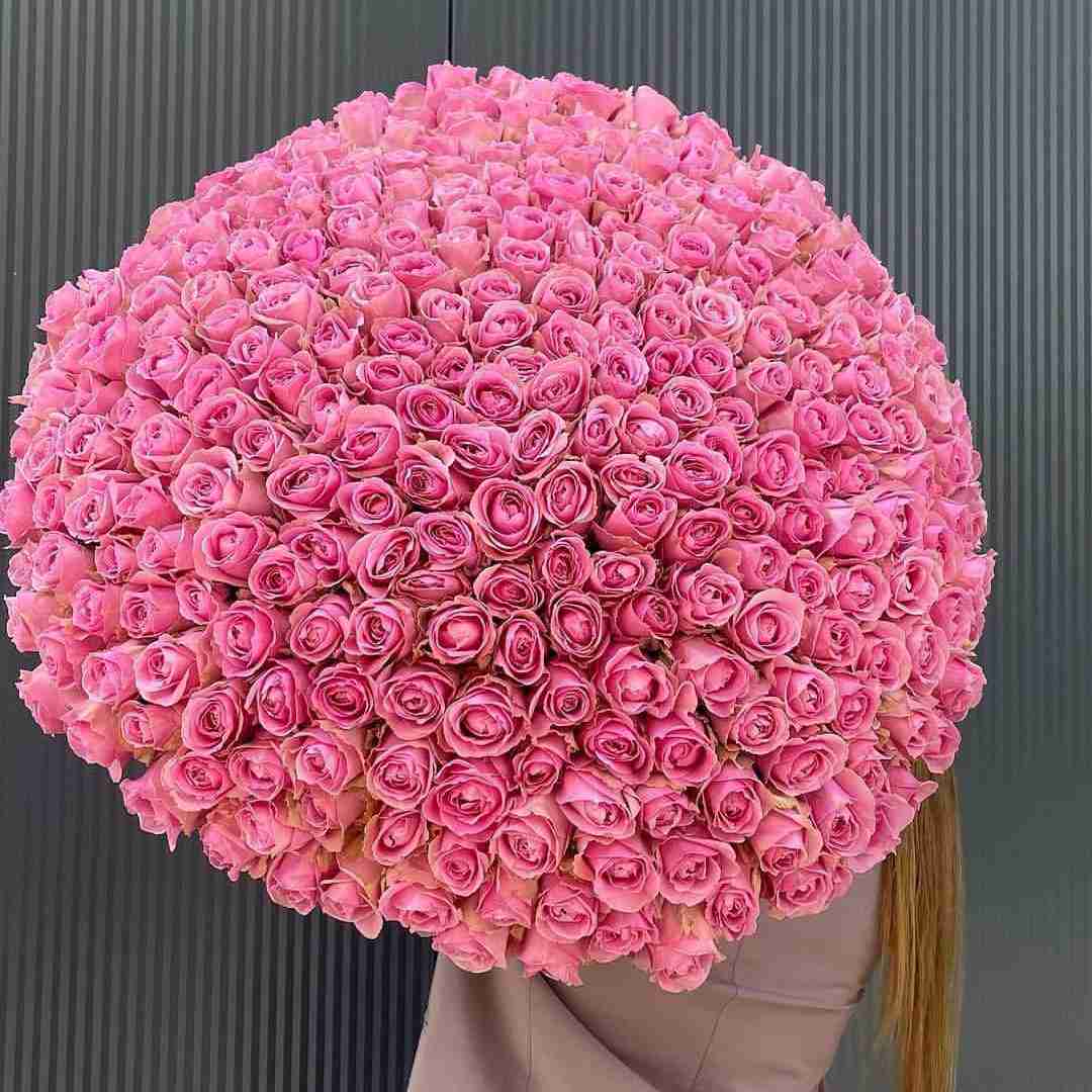 دانلود آهنگ هر چی رفیق نارفیق بره که نمیخوان که دیگه برگرده مسری و سوار و امینور