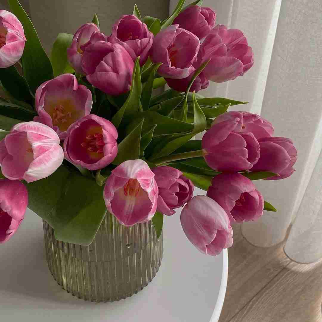 دانلود آهنگ فکر نمیکنه خود کرده به تدبیر آزادی نداره هیچ ربطی به تقویم علی وطن پرست