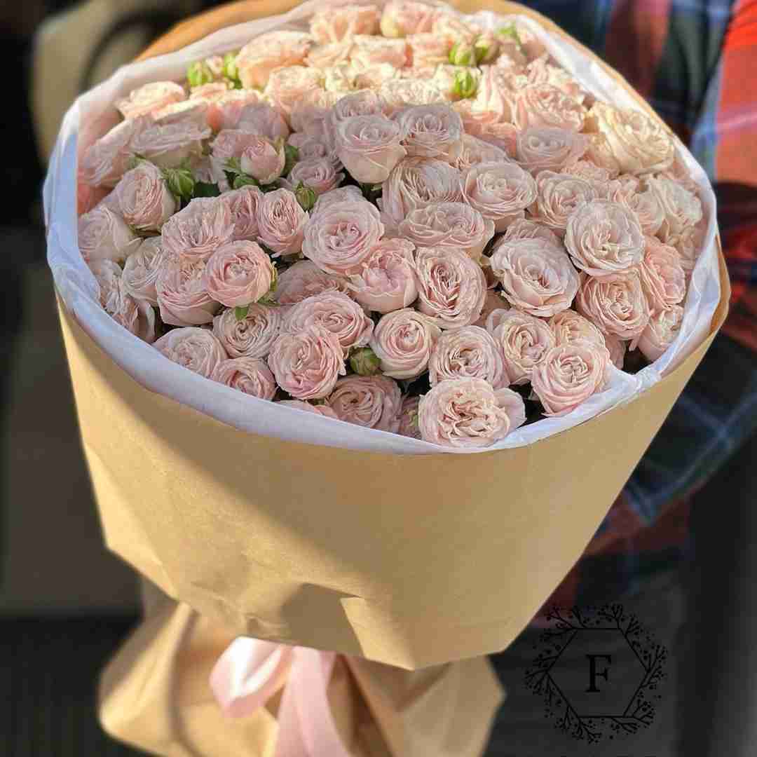 دانلود آهنگ نمیشم دیگه عوض منم فهمیدم این راه برگشتنم مهیاد