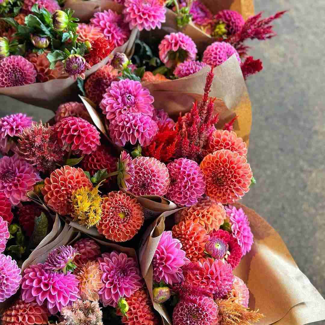 دانلود آهنگ فقط خودش می دونه دلو شکست اون درو بست ممزی و میک جی