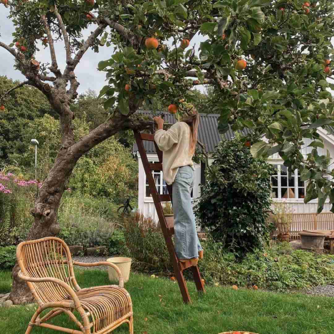 دانلود آهنگ بالا پایین شرق و غربو رفتیم گشتیم با تجارو و کاسب وی دی