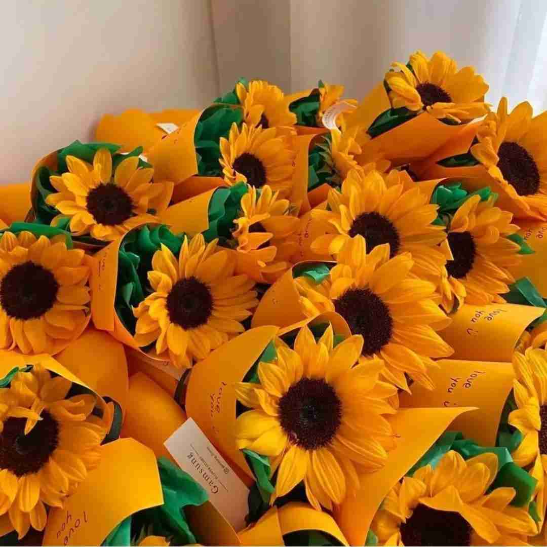 دانلود آهنگ حتی حسودیم میشه گاهی به تیر برق من کندم از هر چی نمیشه کند سان بوی و ناجی