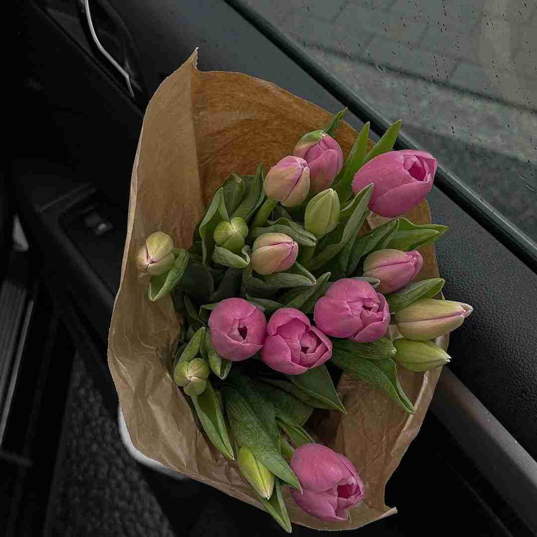 دانلود آهنگ خالیه چپه سینم دل نیست هرجا میرم میگم فقط حیف نیست 