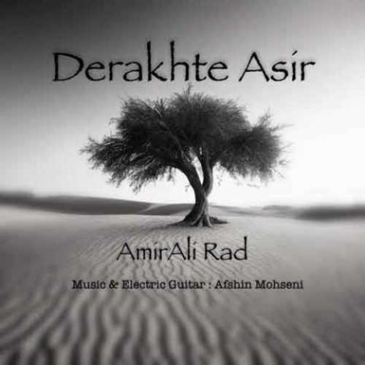 دانلود آهنگ درخت اسیر  امیرعلی راد